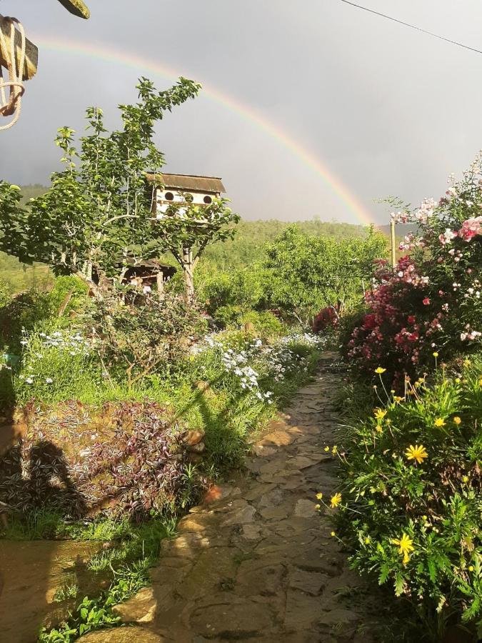 H'Mong Co Tran Sapa Homestay Экстерьер фото