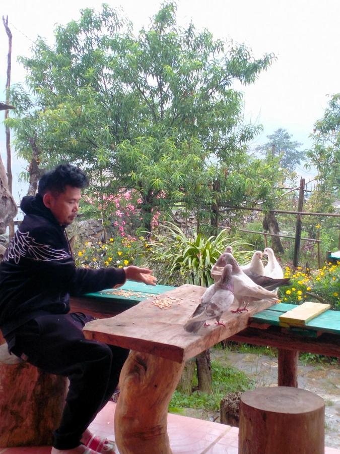 H'Mong Co Tran Sapa Homestay Экстерьер фото