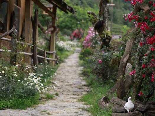 H'Mong Co Tran Sapa Homestay Экстерьер фото
