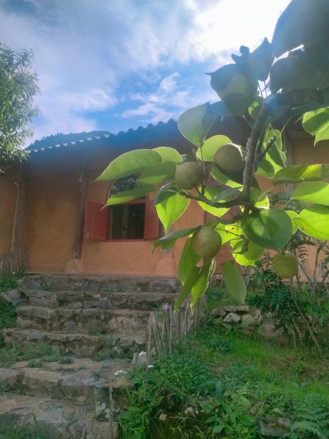 H'Mong Co Tran Sapa Homestay Экстерьер фото