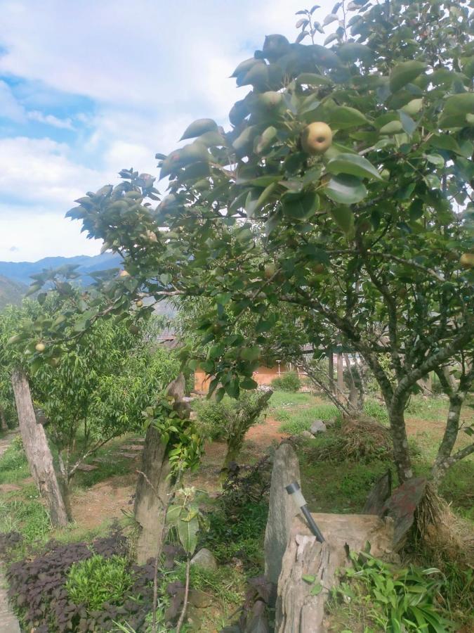H'Mong Co Tran Sapa Homestay Экстерьер фото