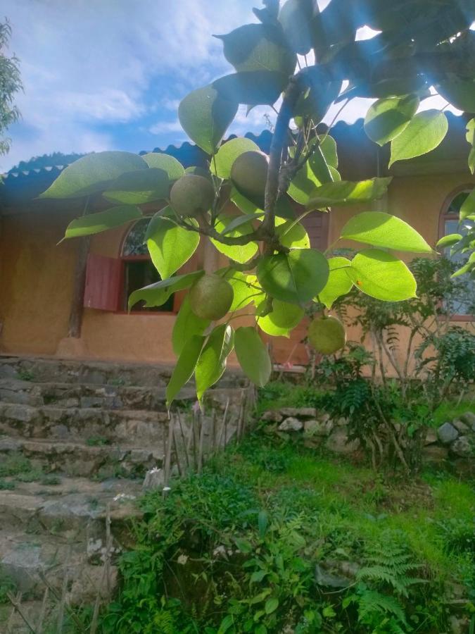H'Mong Co Tran Sapa Homestay Экстерьер фото