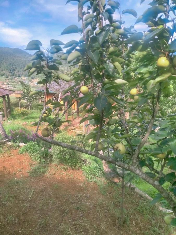 H'Mong Co Tran Sapa Homestay Экстерьер фото